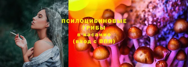 ешки Богородск