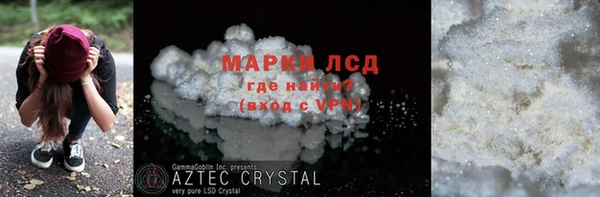стаф Аркадак