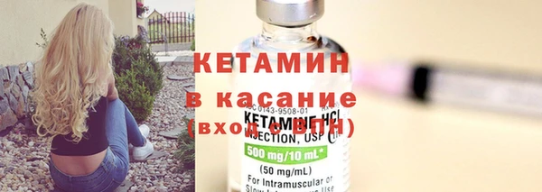 стаф Аркадак