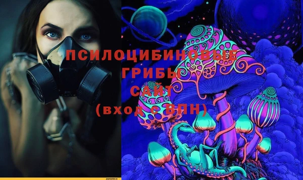 ешки Богородск