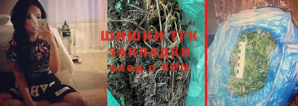 стаф Аркадак