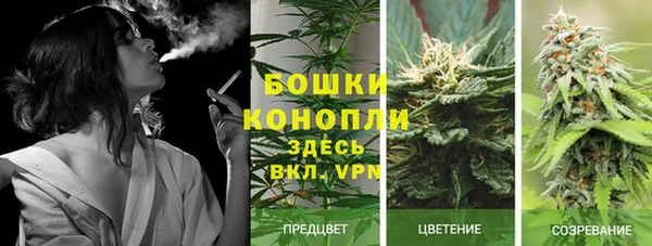 ешки Богородск