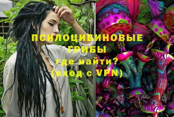 стаф Аркадак