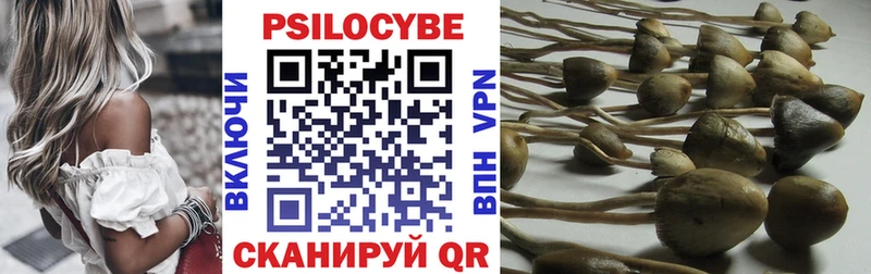 Псилоцибиновые грибы Psilocybe  площадка как зайти  Коломна 