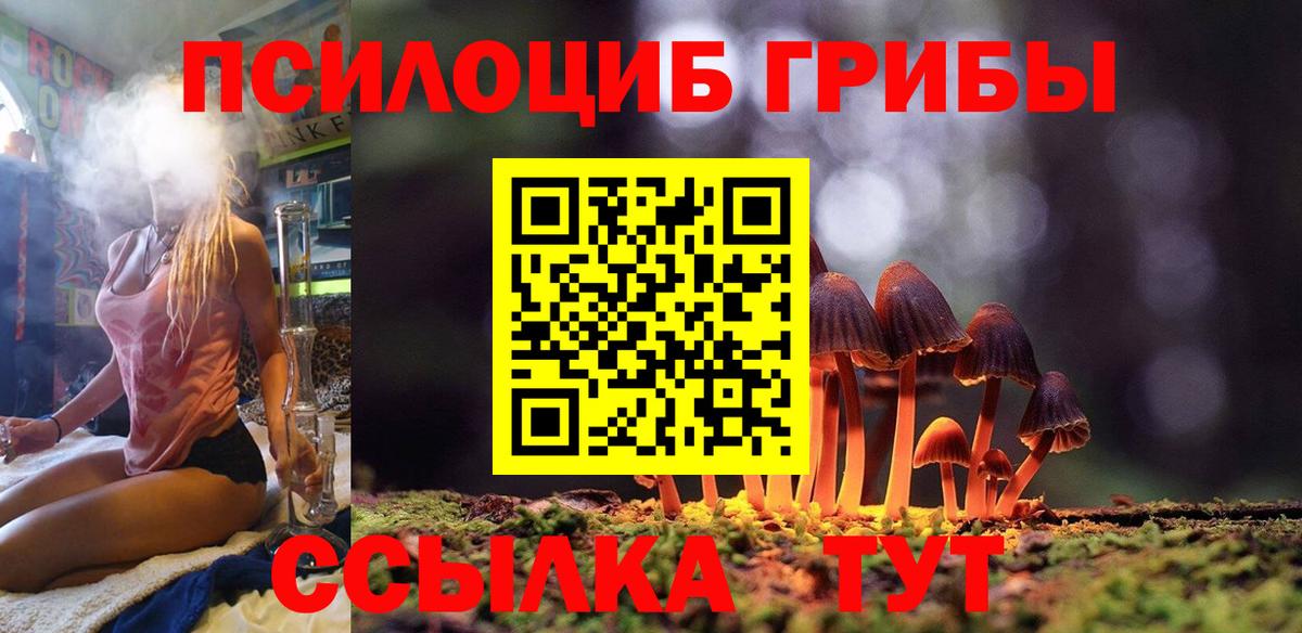 Галлюциногенные грибы Cubensis Коломна